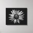 Recherche de fleurs noires et blanches toiles Toute personne