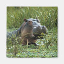 Zoek naar kenia magneten Milieu