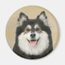 Recherche de laponie magnets Lapon finlandais