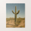 Recherche de cactus de saguaro puzzles Dehors