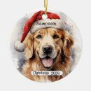 Recherche de golden retriever christmas decor Dogs