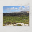 Zoek naar lanzarote briefkaarten Vintage