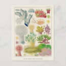 Recherche de barrière cartes postales Vintage