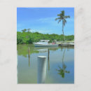 Recherche de îles tropicales cartes postales Palm