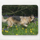 Recherche de allemand tapis souris Fleurs