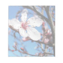 Recherche de fleurs de cerisier blocsnotes Arbre