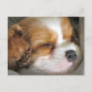 Recherche de charles cartes postales Mignon