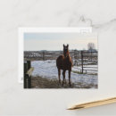Recherche de équin cartes postales Belle