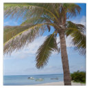 Recherche de aruba carreaux Vertical