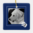 Zoek naar zwarte hond ornamenten Eenvoudig