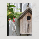 Zoek naar vogelnest posters Fotografie