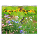 Recherche de chant photographie Nature