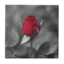 Zoek naar rosebuds Floreel