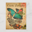 Zoek naar kleurrijke vlinders briefkaarten Vintage