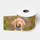 Zoek naar hongaars lint Puppy