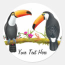 Recherche de toco autocollants Oiseaux