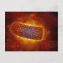 Recherche de virologie cartes postales Lipoprotéine