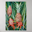 Recherche de ananas tropical posters Exotique