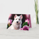 Zoek naar witte hond kaarten Huisdier