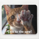 Recherche de patte chat tapis souris Chaton