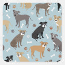 Recherche de terrier de pitbull américain autocollants Bulle