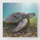Recherche de tortue de mer horloges Sable