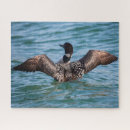 Recherche de rare puzzles Oiseau