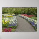 Recherche de keukenhof holland posters Destination touristique