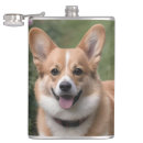Zoek naar corgi heupflesjes Gelukkig