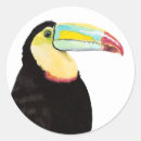 Recherche de oiseaux tropicaux autocollants Toucan