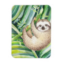 Recherche de sloth magnets Tropical