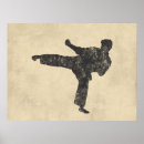 Recherche de ceinture noire posters Kung fu