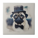 Recherche de carlin carreaux Chien