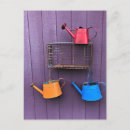 Recherche de canette cartes postales Arrosage