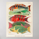 Recherche de biologie marine art Poissons