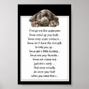 Zoek naar grappige labrador posters Leuk