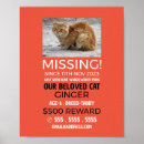 Recherche de perdu posters Toute personne