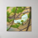 Recherche de pacifique impressions sur toile Blanc