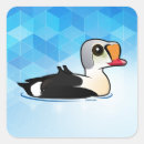 Recherche de eider autocollants Oiseau