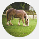 Recherche de cheval de trait autocollants Chevaux
