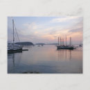 Recherche de porté cartes postales Rose