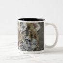 Recherche de tigre bengale tasses Nature