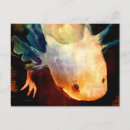 Recherche de salamandres cartes postales Aquatique