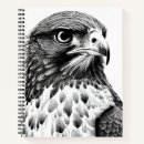 Recherche de faucon carnets Dessin