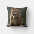 Recherche de gros chat coussins Prédateur