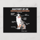 Recherche de berger australien cartes postales Chiot