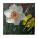 Recherche de flower carreaux Rose