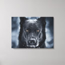 Zoek naar duitse herdershond kunst Hondenliefhebber