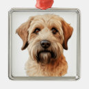 Recherche de balai ornements Terrier