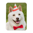 Recherche de cravates magnets Chien